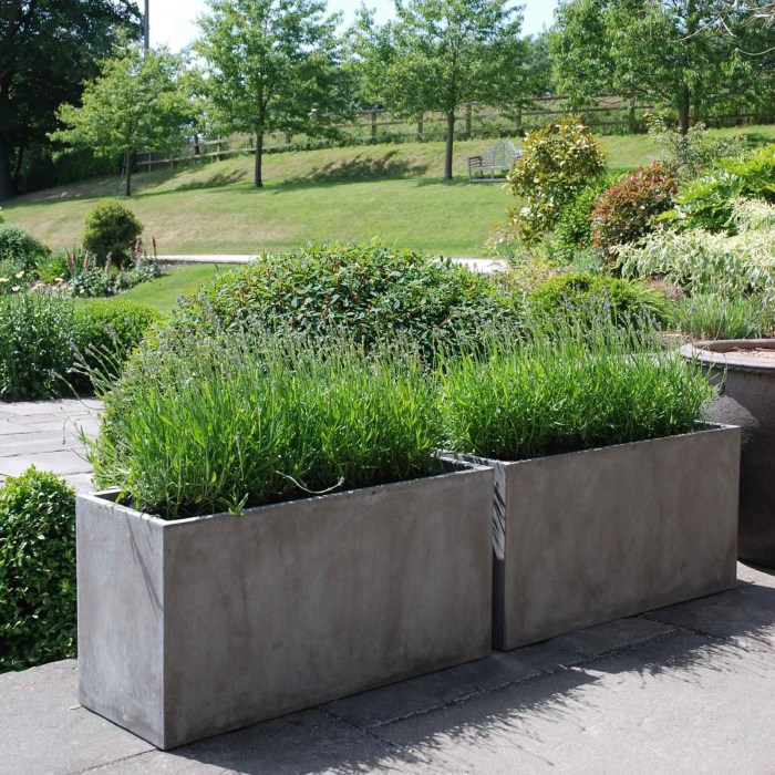 Large house plant pots