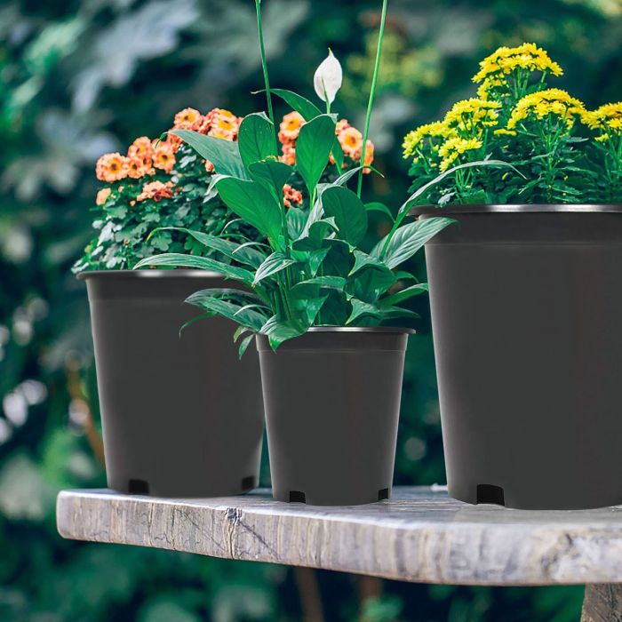 25 gallon plant pot